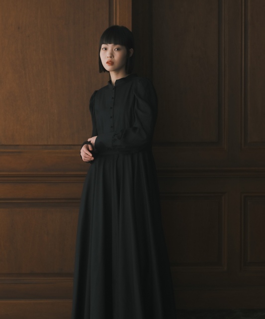 ≪在庫販売≫【THE DRESS #37】black sheer dress（ブラックシアードレス）