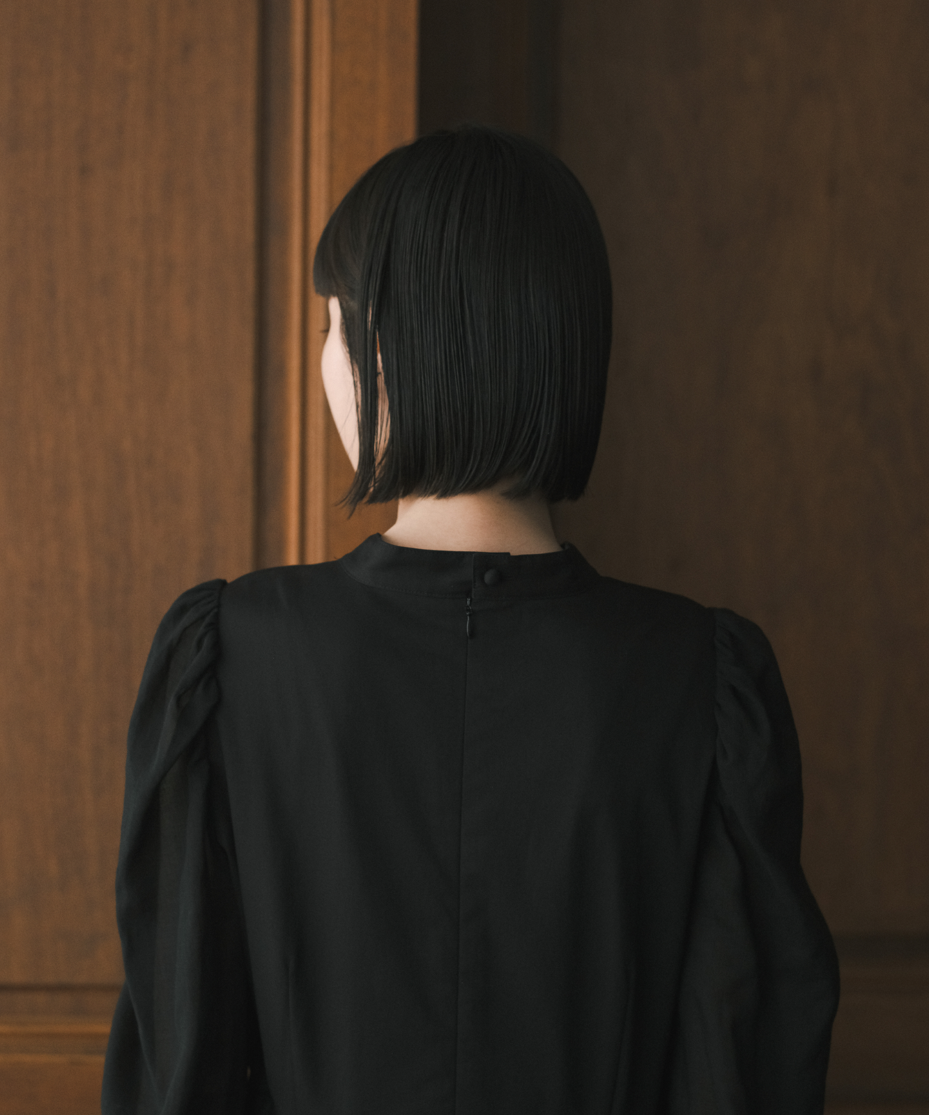 ≪在庫販売≫【THE DRESS #37】black sheer dress(ブラックシアードレス)≪2023年9月15日15:00販売開始≫
