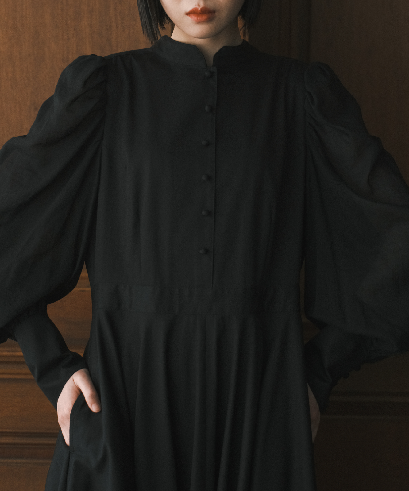 ≪在庫販売≫【THE DRESS #37】black sheer dress（ブラックシアー