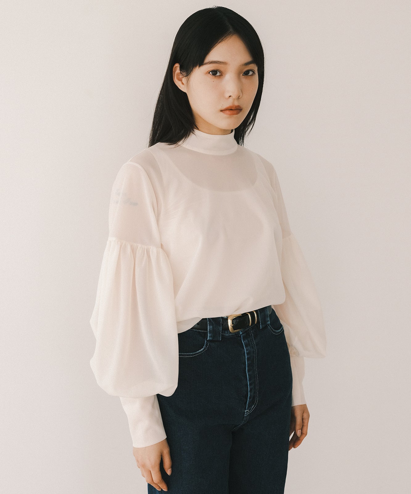 ≪在庫販売≫highneck sheer blouse（ハイネックシアーブラウス