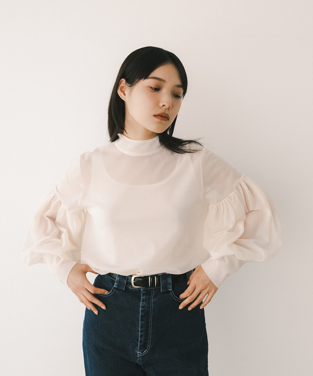 ≪在庫販売≫highneck sheer blouse（ハイネックシアーブラウス 