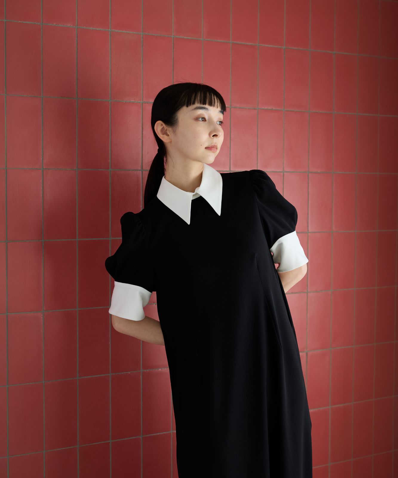 ≪通常販売≫【THE DRESS #45 】
