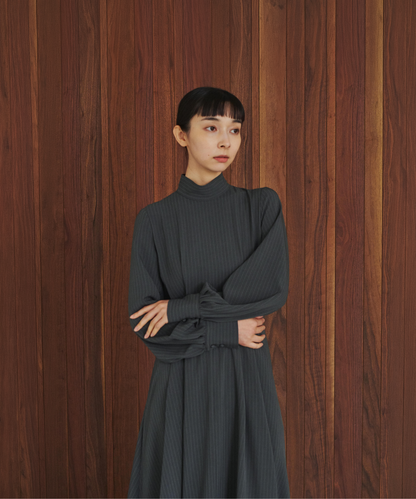 ≪通常販売≫high neck stripe onepiece （ハイネックストライプワンピース）≪2026年9月14日12:00販売開始≫
