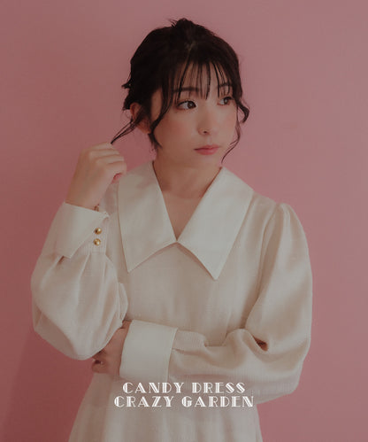≪在庫販売≫【CANDY DRESS CRAZY GARDEN】big collar classical dress（ビッグカラークラシカルドレス）